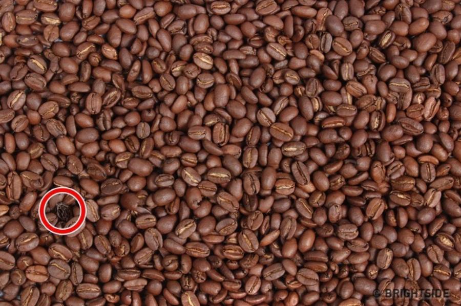 Έντεκα δύσκολα τεστ για παρατηρητικούς ανθρώπους που λίγοι καταφέρνουν να τα βρούνε όλα