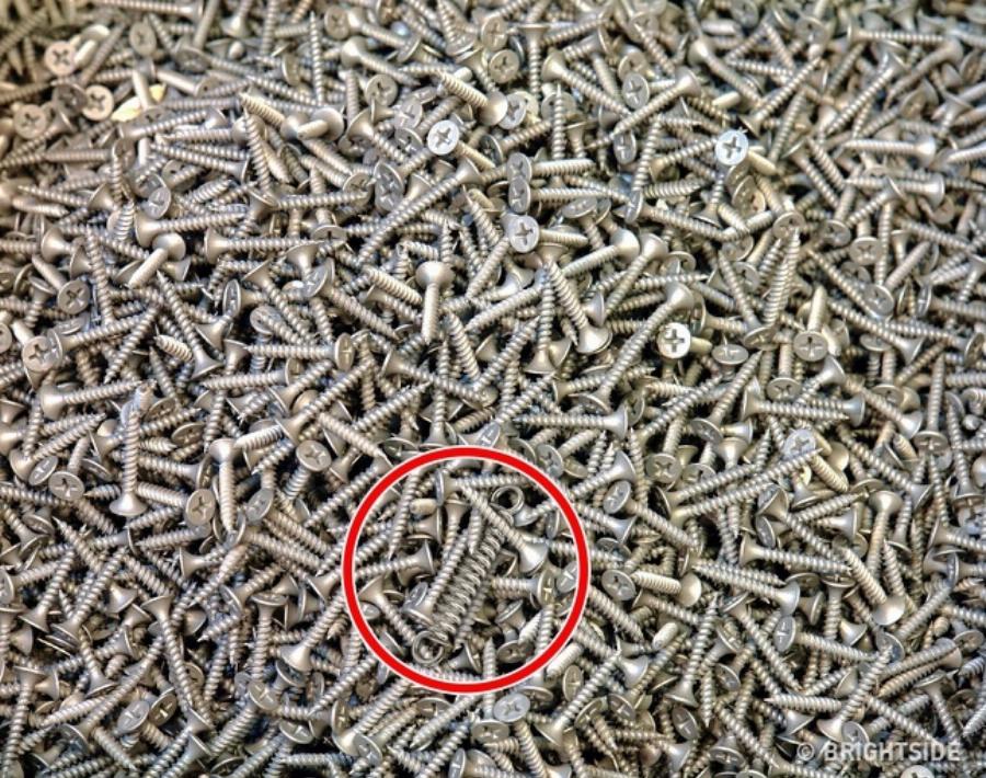 Έντεκα δύσκολα τεστ για παρατηρητικούς ανθρώπους που λίγοι καταφέρνουν να τα βρούνε όλα