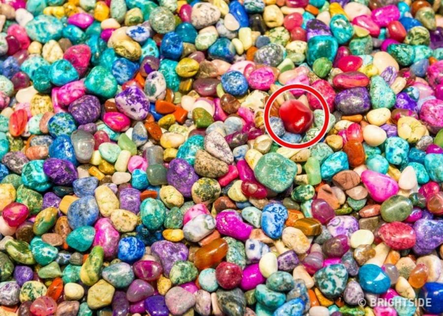 Έντεκα δύσκολα τεστ για παρατηρητικούς ανθρώπους που λίγοι καταφέρνουν να τα βρούνε όλα