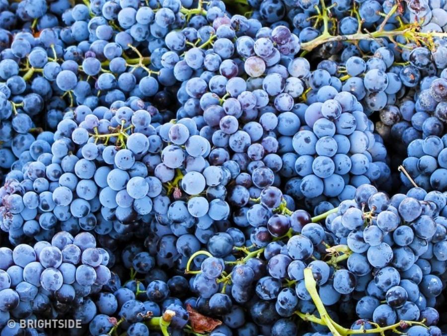 Έντεκα δύσκολα τεστ για παρατηρητικούς ανθρώπους που λίγοι καταφέρνουν να τα βρούνε όλα