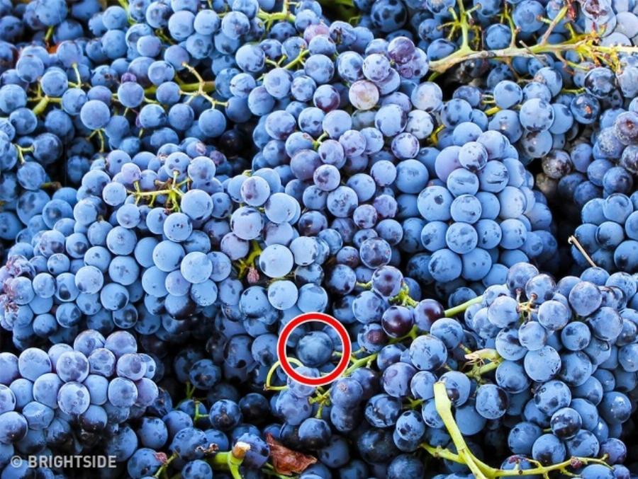 Έντεκα δύσκολα τεστ για παρατηρητικούς ανθρώπους που λίγοι καταφέρνουν να τα βρούνε όλα