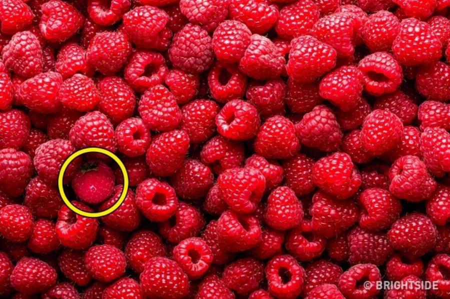 Έντεκα δύσκολα τεστ για παρατηρητικούς ανθρώπους που λίγοι καταφέρνουν να τα βρούνε όλα