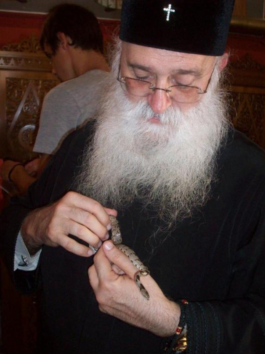 Μέγα το θαύμα με τα φιδάκια της Παναγίας:  Συμβαίνει κάθε χρόνο τον Δεκαπενταύγουστο