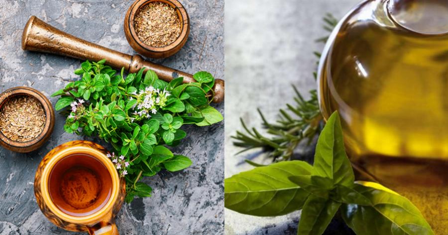 Ριγανέλαιο: Το φυσικό αντισταμινικό που θα σας βοηθήσει να αντιμετωπίσετε τις αλλεργίες που σας ταλαιπωρούν