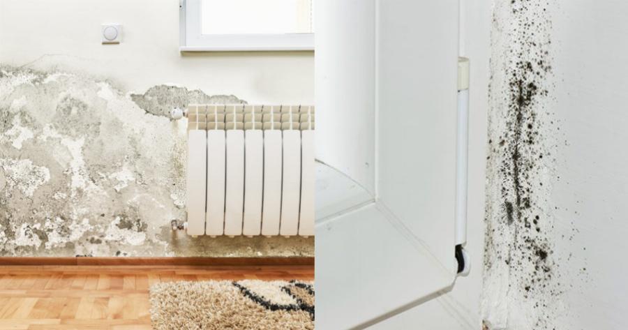 Μούχλα στο σπίτι: Το λάθος που κάνουμε και την επιτείνουμε