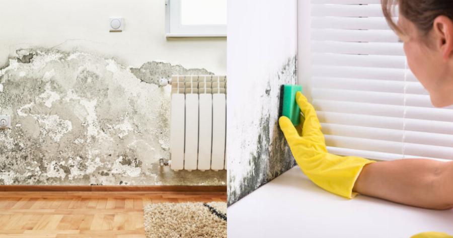 Μούχλα στους τοίχους: Τα έξυπνα κόλπα για να απαλλαγείτε μια και καλή