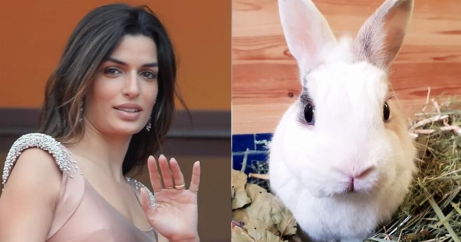 Τόνια Σωτηροπούλου: «Μπορώ να υιοθετήσω 35 κουνέλια και να μην κάνω ποτέ παιδιά»