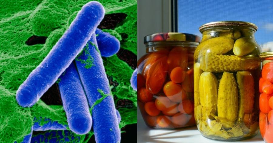 Αλλαντίαση: Τι ακριβώς είναι, ποια είναι τα συμπτώματα της και πως θα προστατευτείτε