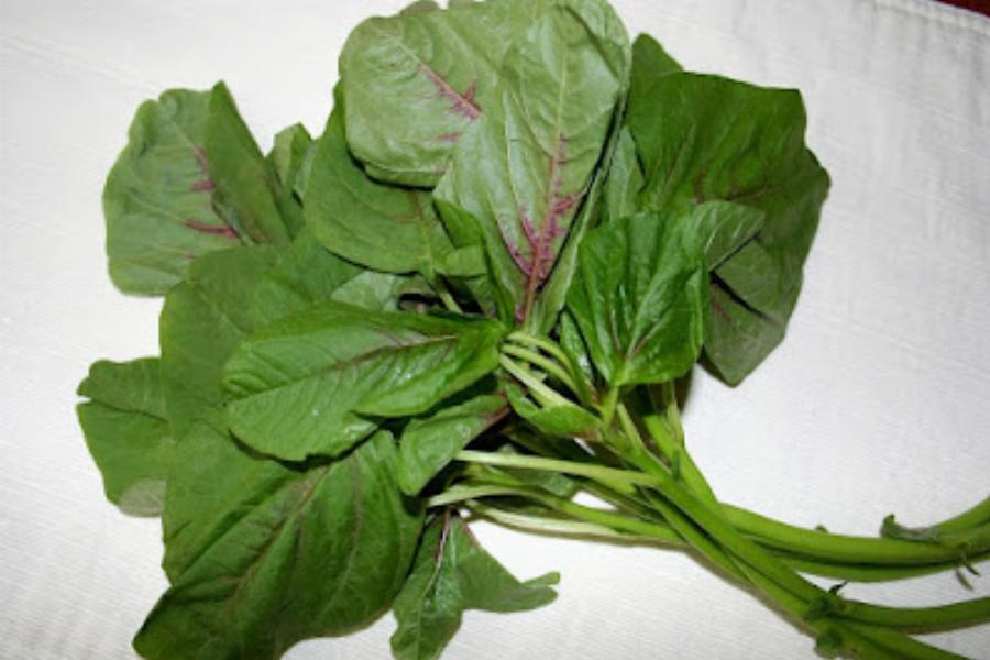 Χόρτα βλίτα: Έχουν ισχυρή αντιοξειδωτική και αντιφλεγμονώδη δράση, δρουν κατά της δυσκοιλιότητας και ενισχύουν το ανοσοποιητικό