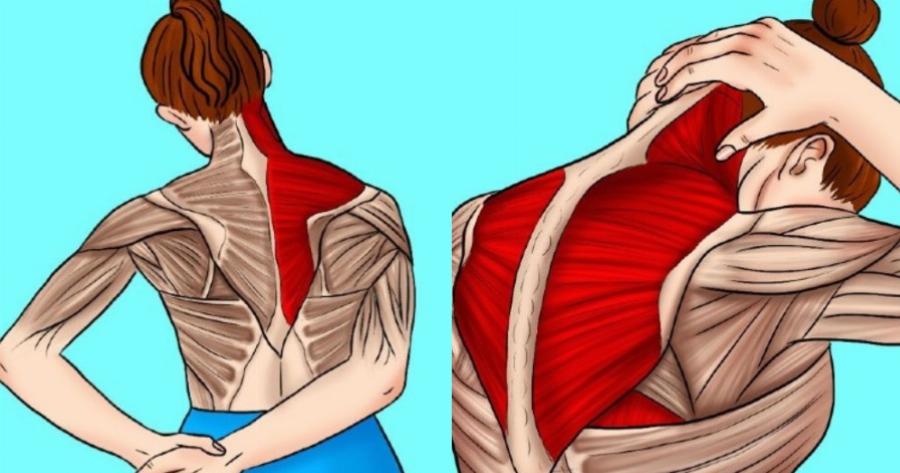 Αυχενικό: 11 ιδανικές ασκήσεις για πόνο στον αυχένα που θα σας ανακουφίσουν άμεσα και αποτελεσματικά