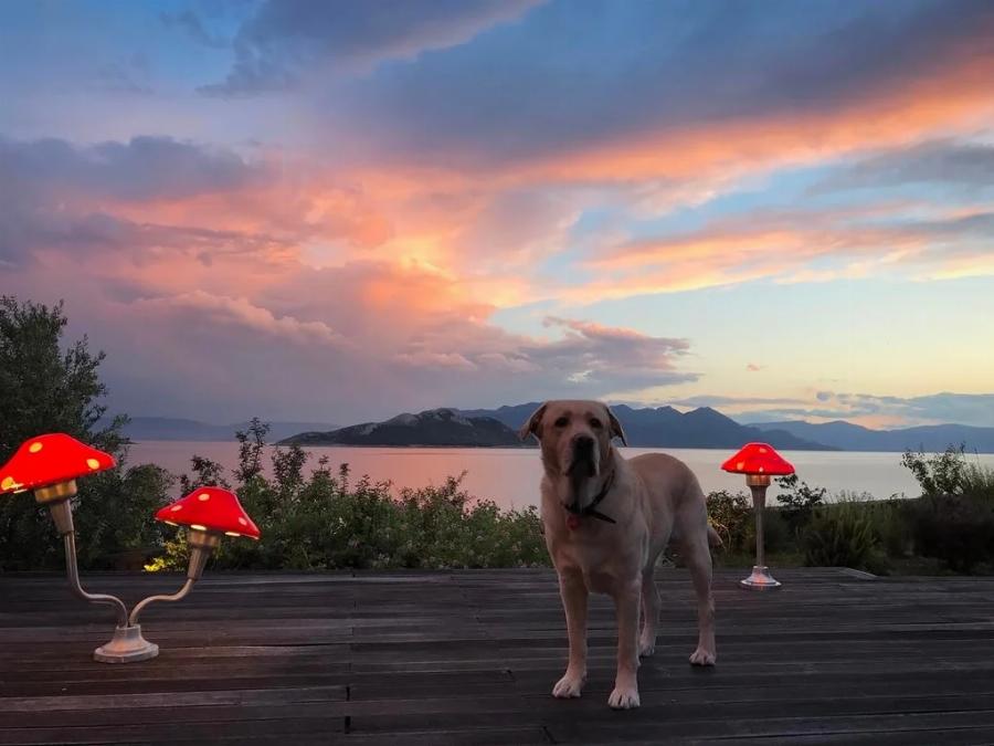 Το εντυπωσιακό σπίτι του Θεοδωρή Αθερίδη και της Σμαράγδας Καρύδη στην Αίγινα με το μπαλκόνι και τη μαγευτική θέα