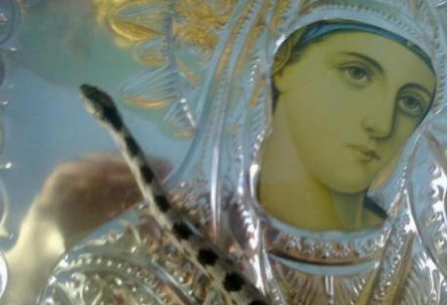 Μέγα το θαύμα με τα φιδάκια της Παναγίας:  Συμβαίνει κάθε χρόνο τον Δεκαπενταύγουστο