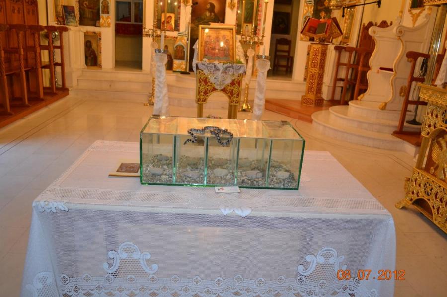 Μέγα το θαύμα με τα φιδάκια της Παναγίας:  Συμβαίνει κάθε χρόνο τον Δεκαπενταύγουστο