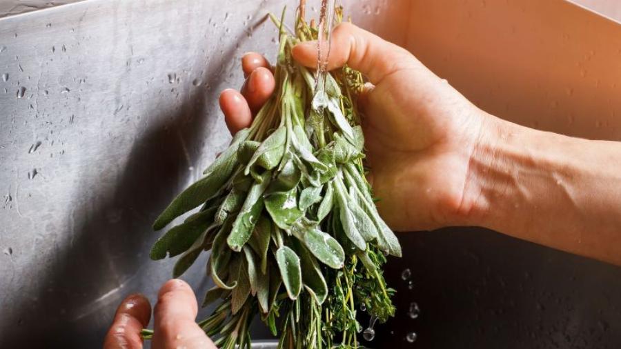 Φασκόμηλο: Βελτιώνει τη μνήμη, διευκολύνει τη χώνεψη, επιταχύνει την κυκλοφορία, δρα κατά του σακχάρου και της διάρροιας