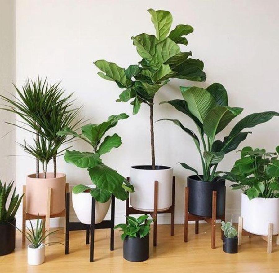 Μούχλα στους τοίχους: Τα έξυπνα κόλπα για να απαλλαγείτε μια και καλή