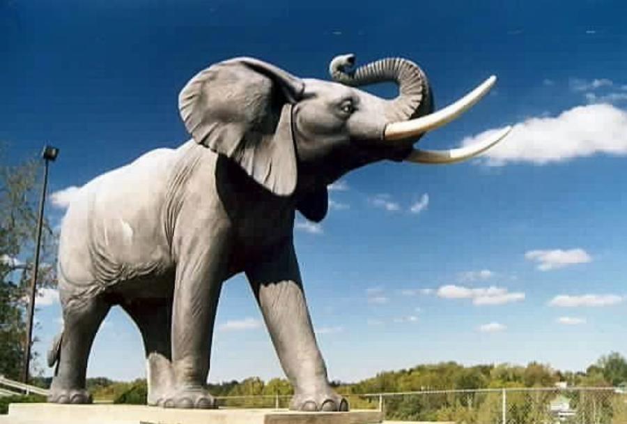 Ντάμπο το ελεφαντάκι: Το τραγικό τέλος του αλκοολικού ελέφαντα που βασανίστηκε και κακοποιήθηκε