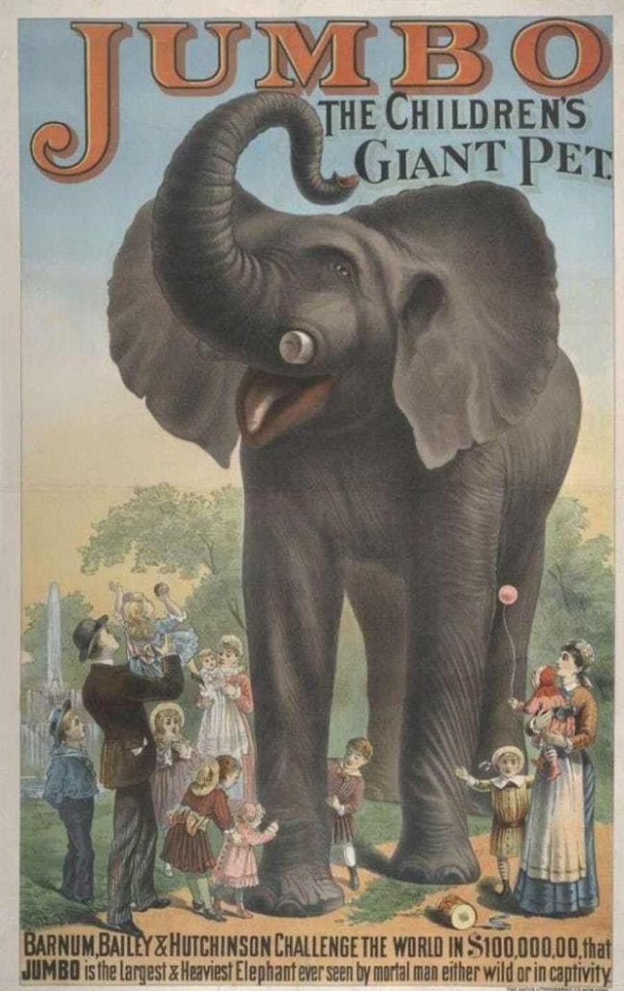 Ντάμπο το ελεφαντάκι: Το τραγικό τέλος του αλκοολικού ελέφαντα που βασανίστηκε και κακοποιήθηκε