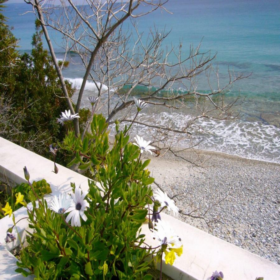 Έχει «εξαφανιστεί»: Η απομόνωση στο ονειρικό «παλάτι» στην Χαλκιδική, ο παραδεισένιος κήπος, το εκκλησάκι και η πισίνα