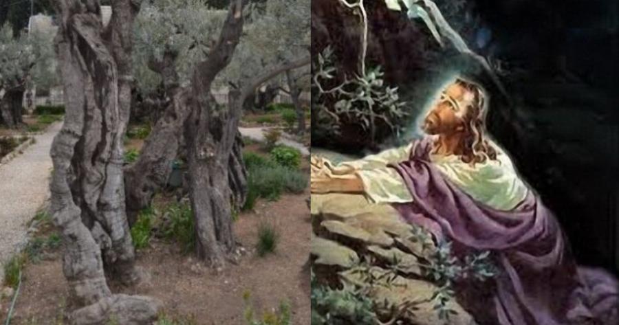 Ιησούς Χριστός: Αυτός είναι ο ιερός τόπος, που προσευχήθηκε για τελευταία φορά, πριν την μαρτυρική σταύρωση