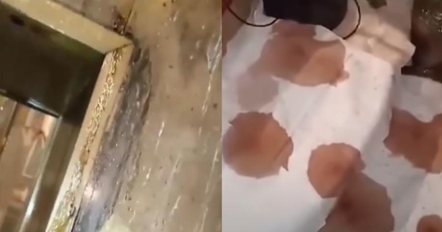 Δάκρυσε η Παναγία Ιεροσολυμίτισσα στο Γηροκομείο Αθηνών: Έτρεχε μύρο από τον Εσταυρωμένο Χριστό