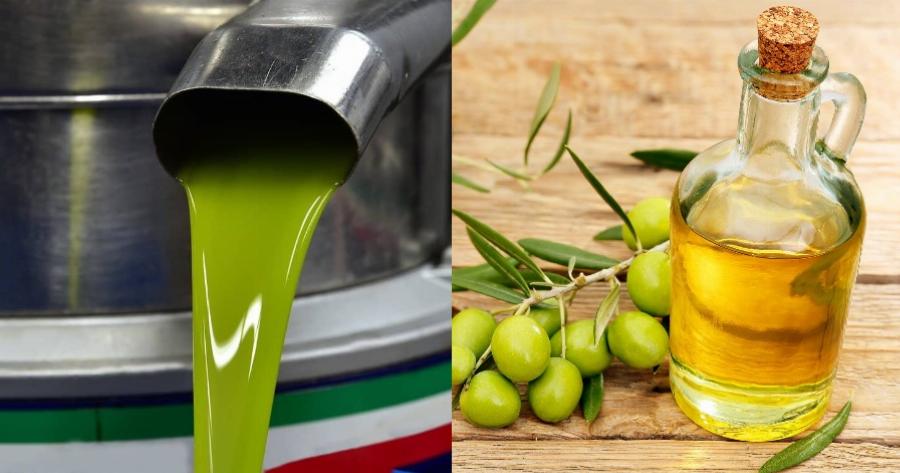 Πυρηνέλαιο: Πώς μπορεί να αντικαταστήσει το ηλιέλαιο – To ξεχασμένο λάδι που τώρα έγινε αξιοζήλευτο