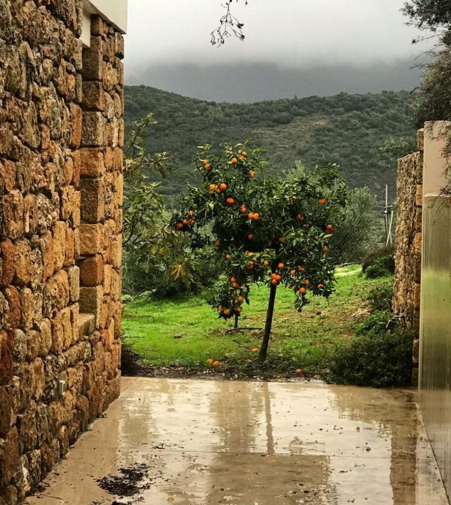 Βίκυ Σταυροπούλου-Χρήστος Χατζηπαναγιώτης: Το μαγευτικό κτήμα στη Μάνη με τον παραδεισένιο κήπο