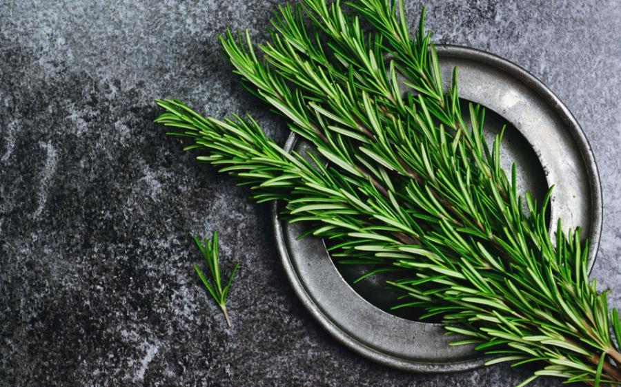 Ποιο είναι το “μαγικό βότανο” που διώχνει το άγχος, τονώνει τη μνήμη και την άμυνα;