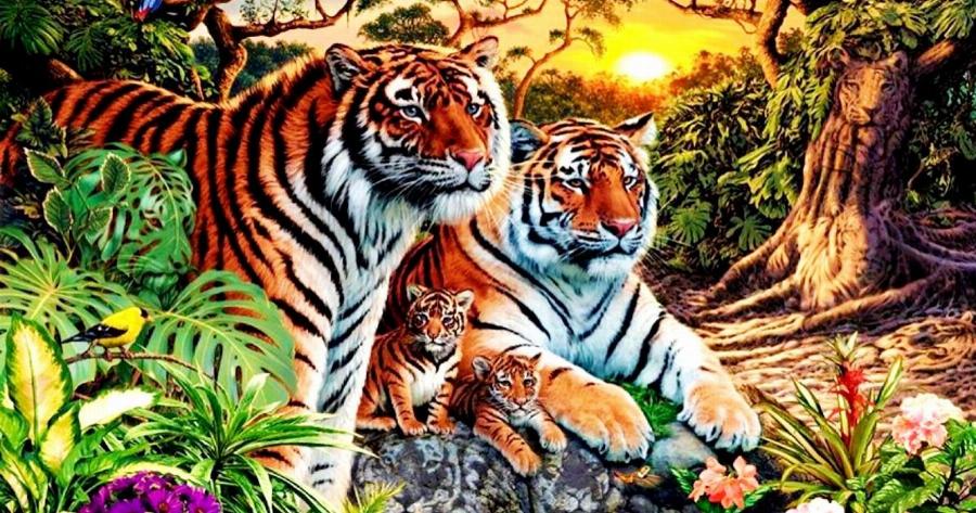 Πόσες τίγρεις βλέπετε; Η εικόνα που έχει μπερδέψει χιλιάδες χρήστες του διαδικτύου