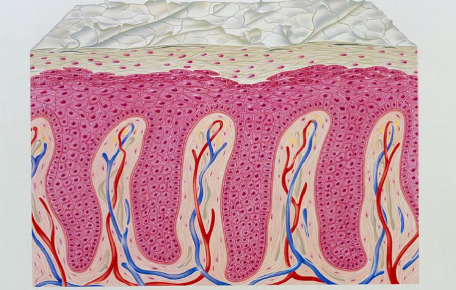 Επτά αυτοάνοσα νοσήματα που εμφανίζονται συχνότερα στις γυναίκες