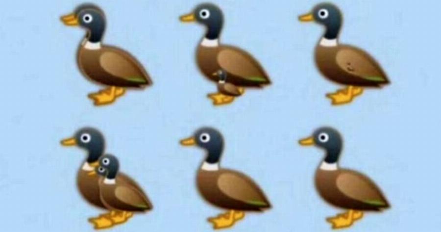Βρες όλες τις πάπιες της εικόνας: Το τεστ παρατηρητικότητας που ελάχιστοι απαντούν σωστά
