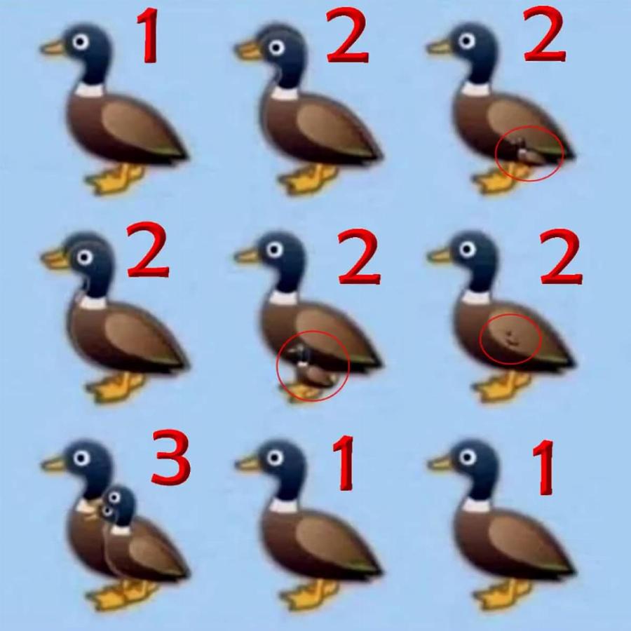 Βρες όλες τις πάπιες της εικόνας: Το τεστ παρατηρητικότητας που ελάχιστοι απαντούν σωστά