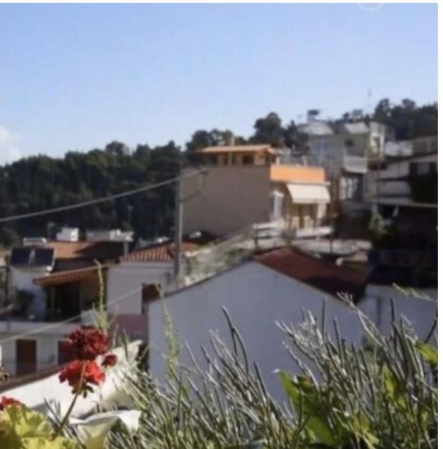 Οικογένεια Πισπιρίγκου – Δασκαλάκη: Τα κλειστά παράθυρα, το σπίτι της οικογένειας και οι βόλτες τα ξημερώματα