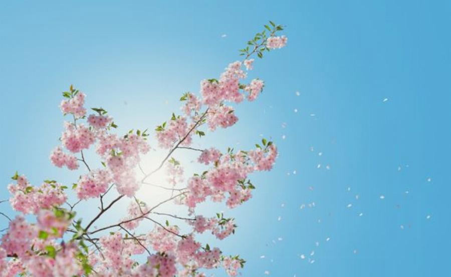 26 συμβουλές για να ζήσετε την ζωή σας όσο καλύτερα γίνεται