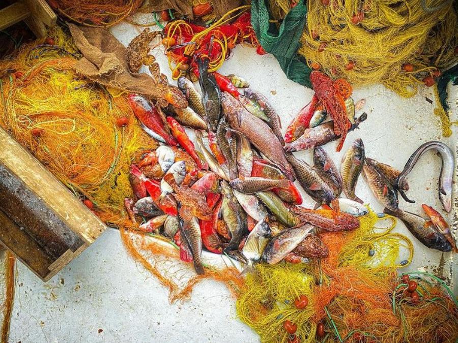 Άγγελος Λάτσιος και Γαία Μερκούρη: Έριξαν το Instagram – Όλοι μιλάνε για τις φωτογραφίες τους από την Άνδρο