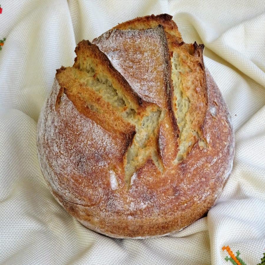 Η τέχνη αποκαλύπτεται: Έτσι φτιάχνεται το καλύτερο ζυμωτό ψωμί και προζύμι