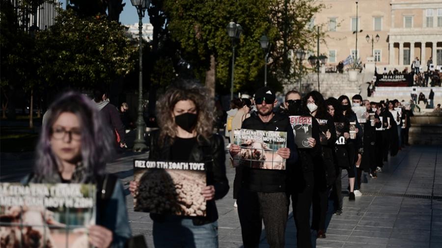 Διαμαρτυρία βίγκαν στο Σύνταγμα: «Να σταματήσει το βάρβαρο» έθιμο του σουβλίσματος του αρνιού»