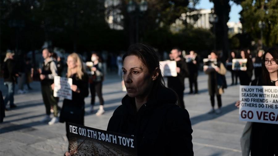 Διαμαρτυρία βίγκαν στο Σύνταγμα: «Να σταματήσει το βάρβαρο» έθιμο του σουβλίσματος του αρνιού»