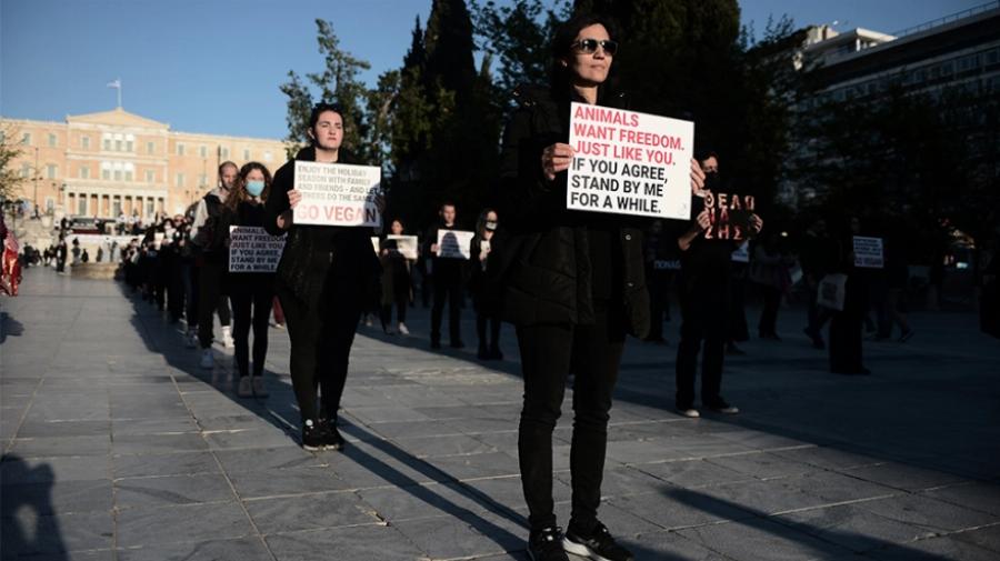 Διαμαρτυρία βίγκαν στο Σύνταγμα: «Να σταματήσει το βάρβαρο» έθιμο του σουβλίσματος του αρνιού»
