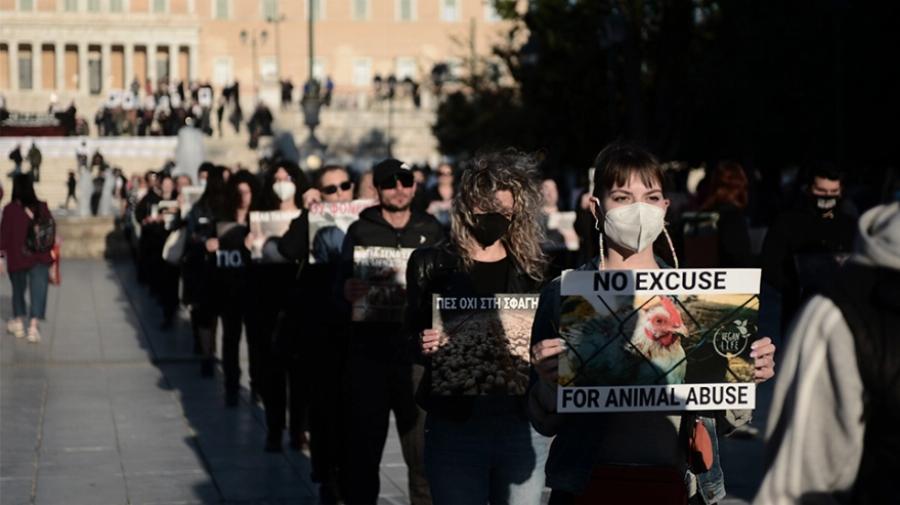 Διαμαρτυρία βίγκαν στο Σύνταγμα: «Να σταματήσει το βάρβαρο» έθιμο του σουβλίσματος του αρνιού»