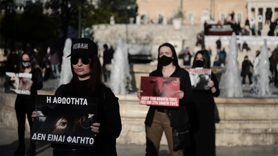Διαμαρτυρία βίγκαν στο Σύνταγμα: «Να σταματήσει το βάρβαρο» έθιμο του σουβλίσματος του αρνιού»