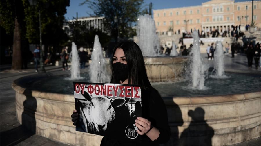 Διαμαρτυρία βίγκαν στο Σύνταγμα: «Να σταματήσει το βάρβαρο» έθιμο του σουβλίσματος του αρνιού»