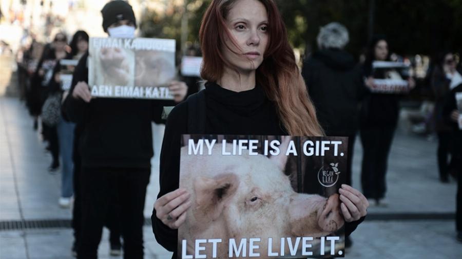 Διαμαρτυρία βίγκαν στο Σύνταγμα: «Να σταματήσει το βάρβαρο» έθιμο του σουβλίσματος του αρνιού»