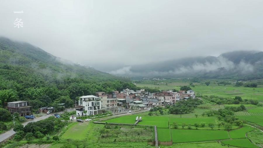 Αχώριστες φίλες: 7 κολλητές έχτισαν σπίτι για να περάσουν μαζί τα γεράματα – Ο παραμυθένιος κήπος και το εντυπωσιακό εσωτερικό