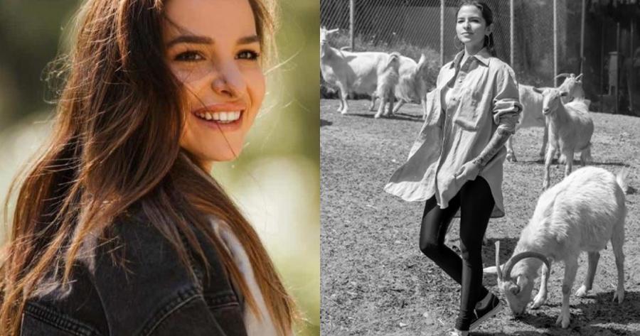 «Μακάρι να μπορούσα να μπω στα σφαγεία»: Το ξέσπασμα της Εριέττας Κούρκουλου για το σούβλισμα των αρνιών