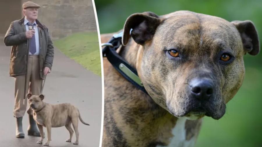 Διάσημες ταινίες: Δώδεκα άγνωστες ιστορίες που συνέβησαν κατα την διάρκεια των γυρισμάτων