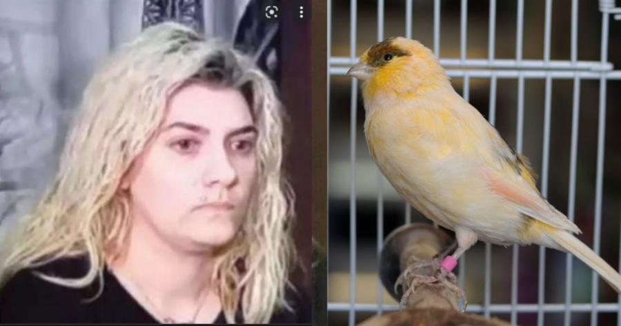 «Εγώ δεν άκουσα κανένα πουλί» είπε η Ρούλα: Πως η Δήμητρα Πισπιρίγκου “πρόδωσε” την αδερφή της