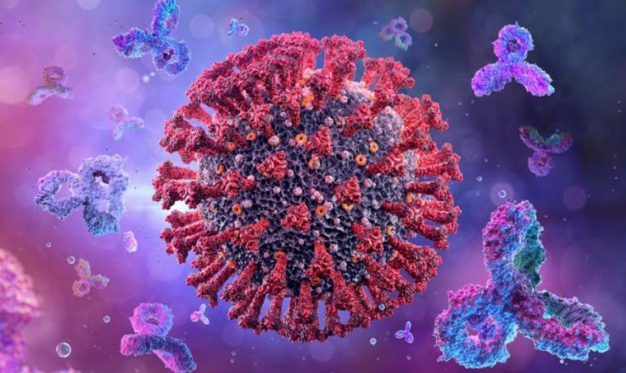 Πανδημία: Εμφανίστηκε νέα πιο μεταδοτική μετάλλαξη από την Όμικρον, τα συμπτώματα