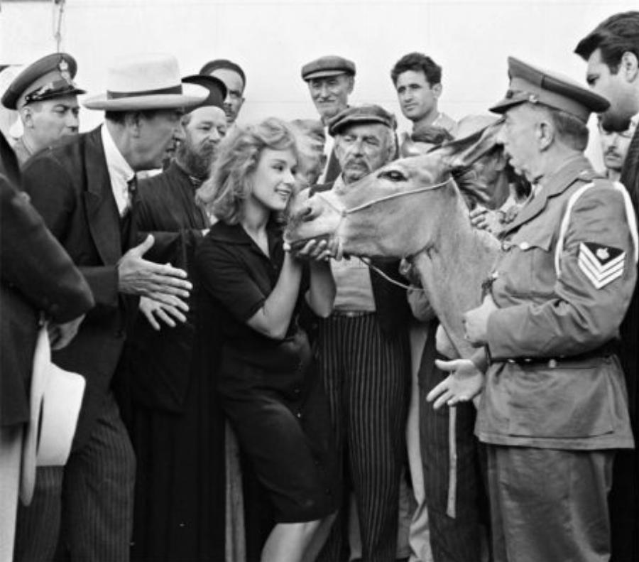 Γιώργος Δαμασιώτης: Τα πρώτα χρόνια, η καριέρα στην υποκριτική, οι ταινίες και το απρόσμενο τέλος πάνω στην σκηνή