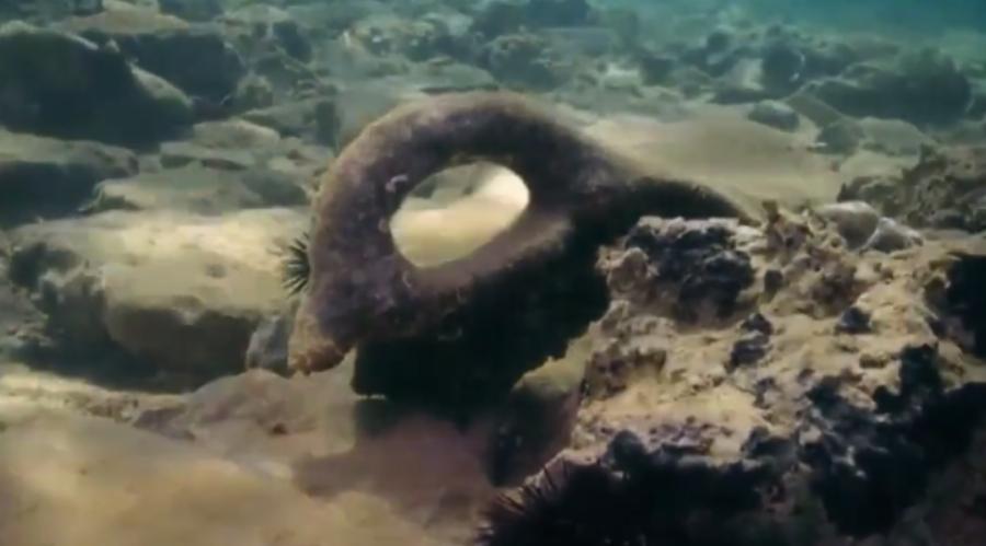 Παυλοπέτρι: Η ελληνική «Πομπηία» που βρίσκεται βυθισμένη κάτω από τη θάλασσα της Ελαφονήσου