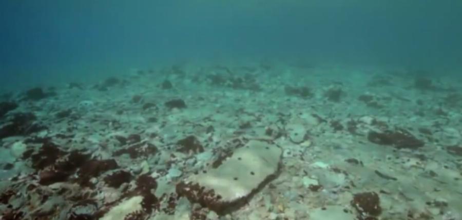 Παυλοπέτρι: Η ελληνική «Πομπηία» που βρίσκεται βυθισμένη κάτω από τη θάλασσα της Ελαφονήσου